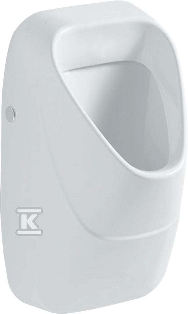 GEBERIT Alivio Urinoir Achterinlaat Afvoer Naar Achteren Of Naar Beneden 34cm Wi